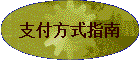 ֧����ʽָ��